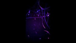 How Many Calories Can the Brain Burn by Thinking? Instructional Video