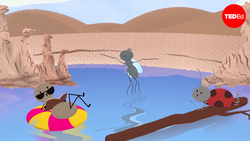 TED-Ed: Are there any places on Earth with no bugs? | Charles Wallace Instructional Video