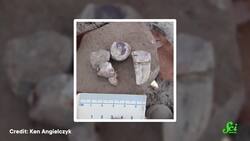 Karaoke Lemurs and the Evolution of Music Instructional Video