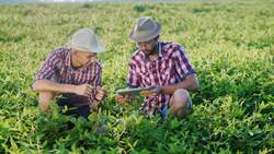 Is a Coconut a Nut, Seed or Fruit? Instructional Video