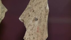 'Harry Potter: A History of Magic,' featuring century-old treasures including rare books, manuscripts, and magical objects opens in New York News Clip