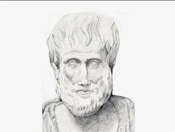 Exploring the Basics of Classification Instructional Video