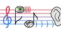 Why Wolves Don't Chirp Instructional Video