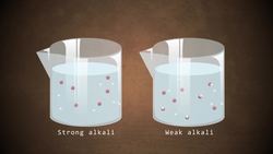 Strong and Weak Alkali's Instructional Video