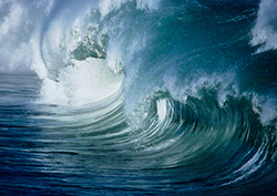 Tsunami Instructional Video