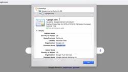 SSL Complete Guide 2021: HTTP to HTTPS - Exploring Certificate of Google Instructional Video