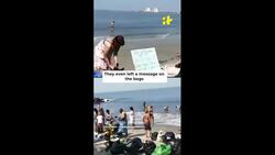 Russian Tourists Cleaning Fort Kochi Beach Leaves Kerala Tourism Embarrassed, Demands Probe News Clip