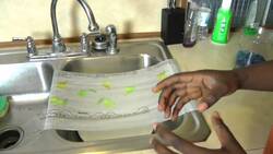 008 The All-or-None Action Potential Instructional Video