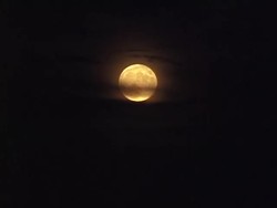 What Is Light?: Light and You Instructional Video