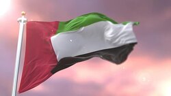 Flag of the United Arab Emirates waving at wind in slow at sunset, loop Stock Footage