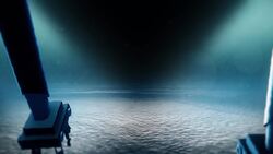 Researchers find longest animal ever recorded Instructional Video