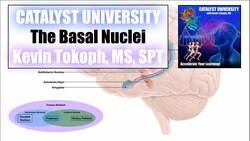Basal Nuclei | Direct & Indirect Pathways EXPLAINED [+ Review of Basal Nuclei Anatomy] Instructional Video