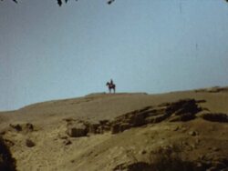 THE PYRAMIDS IN EGYPT, MARCH 1973 Stock Footage