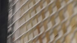 Couple visit axe throwing centre News Clip