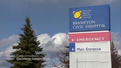 Virtual celebrations to mark a pandemic Christmas News Clip