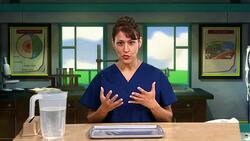 Watersheds Instructional Video