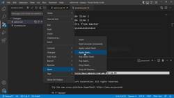 Git and GitHub Masterclass - Fast track your Journey to Git! - Exploring Stashing in VS Code - Deleting a Stash Instructional Video