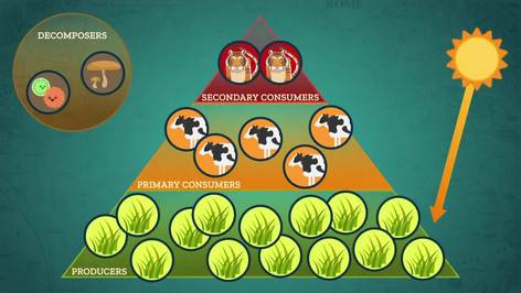 Population & Food: Crash Course Geography