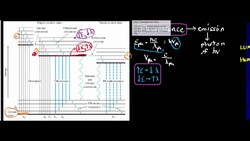 Introduction to Fluorescence Instructional Video
