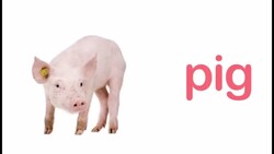 Farm Animal Sounds: A Fun Learning Experience Instructional Video