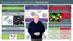 Differences between Sexual and Asexual Reproduction in Biology Instructional Video