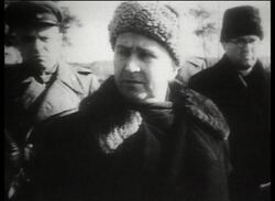 Liberation of Auschwitz Documentary - Part 8 of 11 Stock Footage