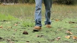 How to Track Animals Instructional Video