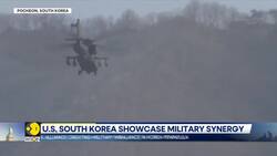 US and South Korea conduct joint live-fire military exercise News Clip
