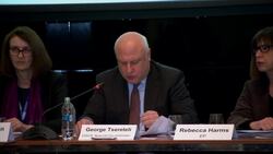 Observers: Voters' rights respected in Moldova Instructional Video