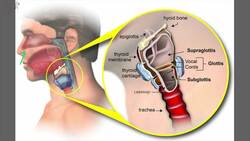 Challenge Result - placement Instructional Video