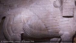 Visiting Museum Island in Berlin Instructional Video