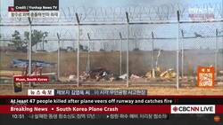 Plane bursts into flames after skidding off runway at South Korean airport News Clip