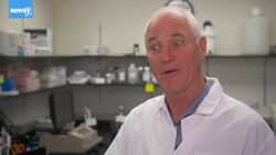 Look Inside A Lab Racing To Develop A Coronavirus Vaccine News Clip
