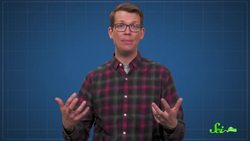 How Extreme Microbes Are Helping Us Test for COVID-19 Instructional Video