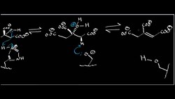 Aconitase 1 Instructional Video