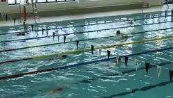 People swimming laps in an indoor pool News Clip