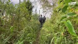 A Day in Life of Honey Harvester Extracting Wild Honey in Extreme Condition Instructional Video