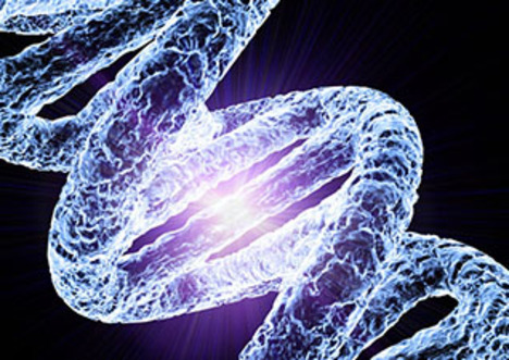 DNA