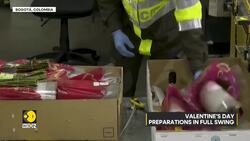 Colombia's floral industry thrives as Trump withdraws tariff threat just in time for Valentine's Day Instructional Video