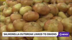 U.S. Salmonella Outbreak Linked To Imported Onions News Clip