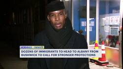 Hundreds of immigrant New Yorkers head to Albany calling for policy changes News Clip