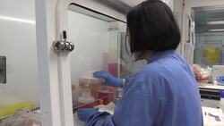 Coronavirus in numbers: UK death toll rises to 28,734 News Clip