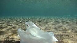 Plastic pollution in sea Stock Footage