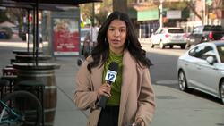 Irish consulate general joins BP Gibson for a Woodlawn walkthrough News Clip