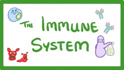 GCSE Biology - Immune System (Defences Against Pathogens) #38 Instructional Video