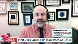 Delta Reaching Peak Level as Omicron Emerges: Johns Hopkins News Clip