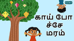 Exploring the Fascinating World of Shapes - Tamil Instructional Video