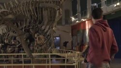 CLEAN : 'Death shadow' dinosaur unearthed in Argentina News Clip