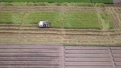 Aerial view of Harvesting Corn Stock Footage