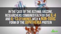 A Vaccine for Asthma? #inmice | SciShow News Instructional Video